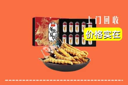 嘉兴海盐县回收冬虫夏草