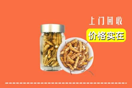 嘉兴海盐县回收散虫草