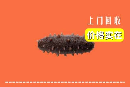 嘉兴海盐县回收海参