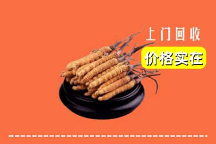 嘉兴海盐县回收冬虫夏草