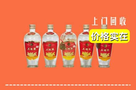 嘉兴海盐县回收老五粮液